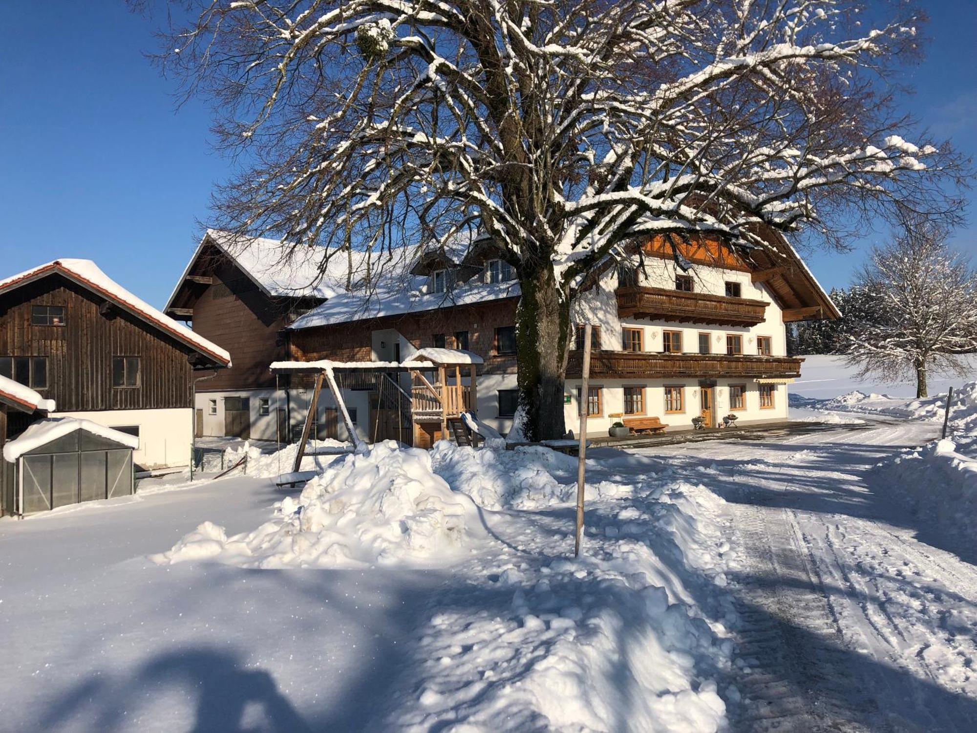 Biohof-Feichtinger Zell am Moos Exterior foto
