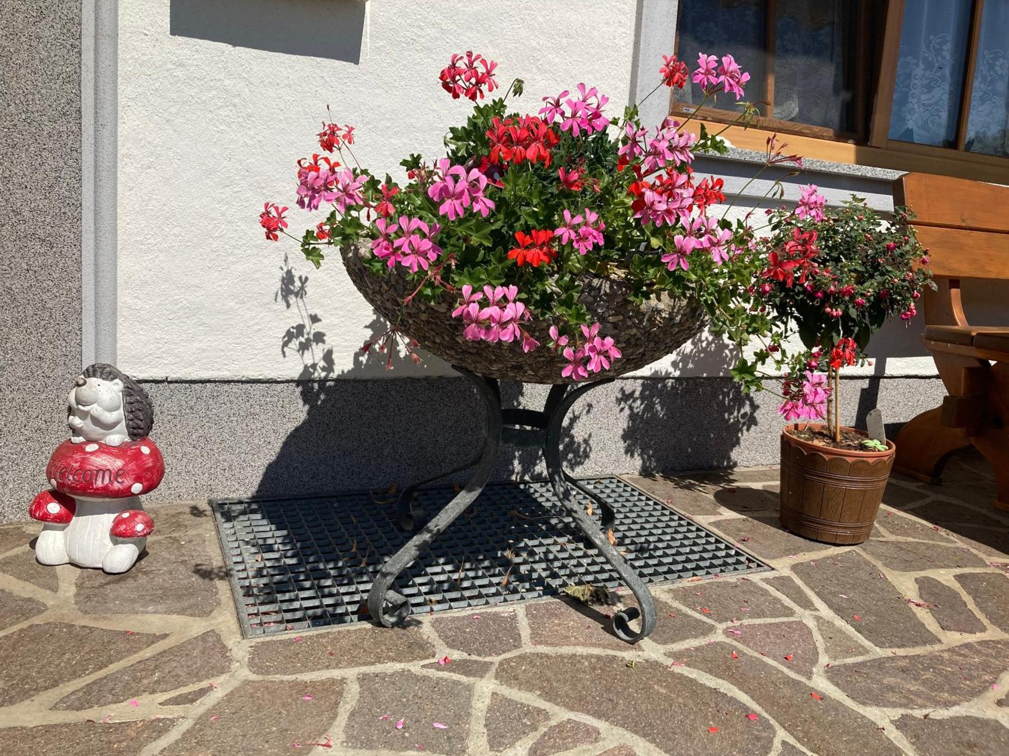 Biohof-Feichtinger Zell am Moos Exterior foto